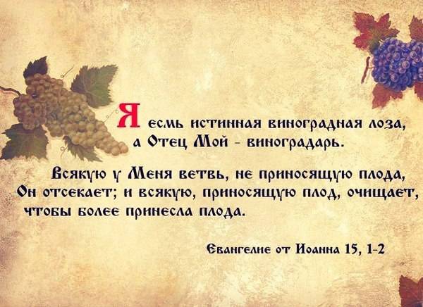 542751439_1174023791428193_8475760454240331942_n 542751439_1174023791428193_8475760454240331942_n